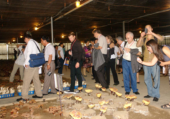 圖片關鍵詞 圖片關鍵詞