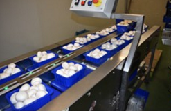 圖片關(guān)鍵詞 圖片關(guān)鍵詞