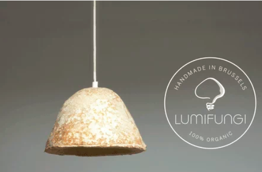 圖片關鍵詞 http://m.efhza.cn/ewebeditor/uploadfile/20180727085601461001.png