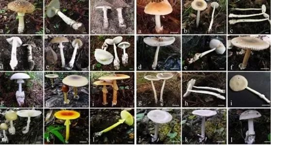 圖片關(guān)鍵詞 圖片關(guān)鍵詞