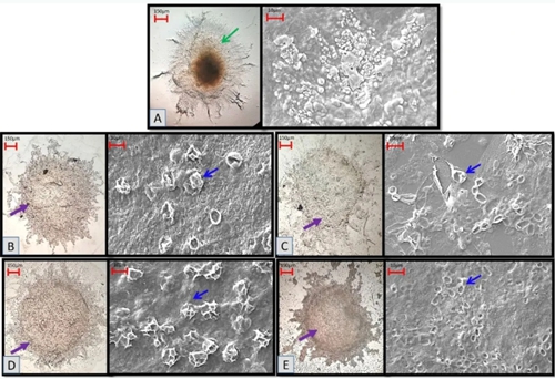 圖片關鍵詞 圖片關鍵詞