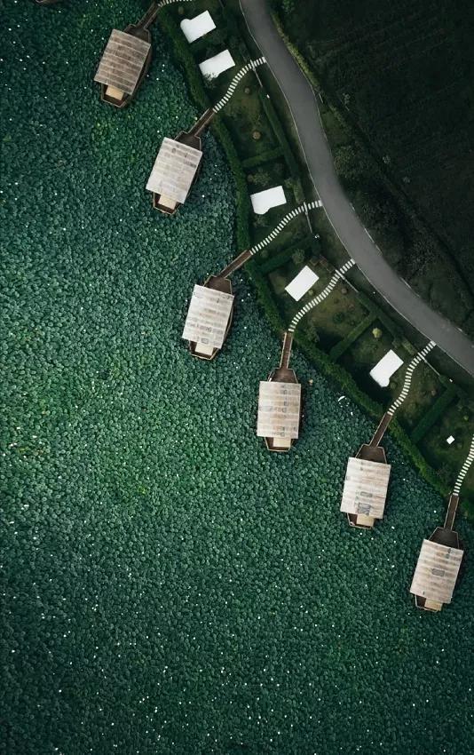 國家蘑菇地理：中國哪里的蘑菇最好吃？