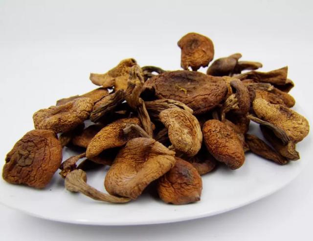 國家蘑菇地理：中國哪里的蘑菇最好吃？