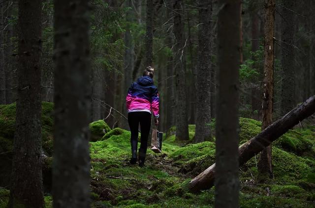 國家蘑菇地理：中國哪里的蘑菇最好吃？