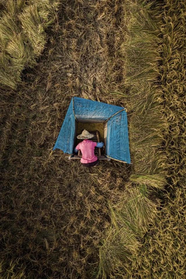 國家蘑菇地理：中國哪里的蘑菇最好吃？