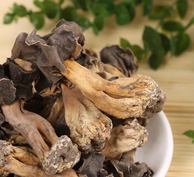 國家蘑菇地理：中國哪里的蘑菇最好吃？