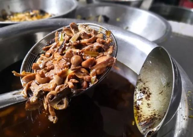 國家蘑菇地理：中國哪里的蘑菇最好吃？