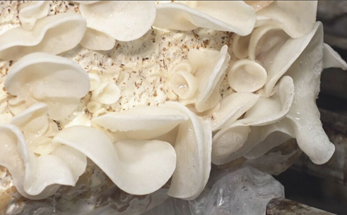 圖片關鍵詞 圖片關鍵詞