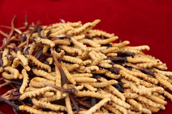 圖片關鍵詞 圖片關鍵詞