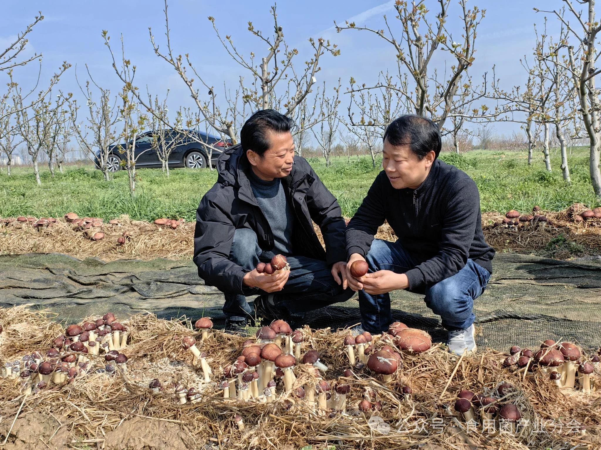 圖片關鍵詞 圖片關鍵詞