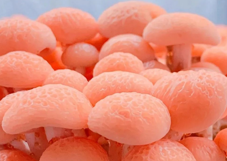 圖片關鍵詞 圖片關鍵詞