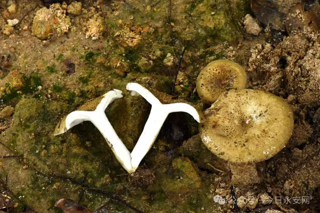 圖片關(guān)鍵詞 圖片關(guān)鍵詞