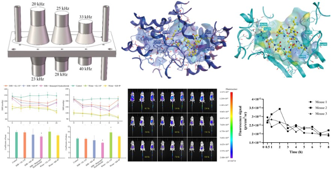 圖片關(guān)鍵詞 圖片關(guān)鍵詞
