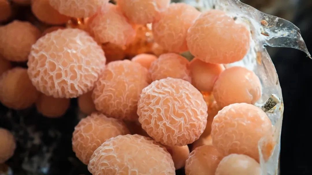 圖片關鍵詞 圖片關鍵詞