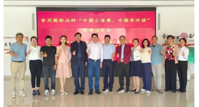 行業(yè)動態(tài)